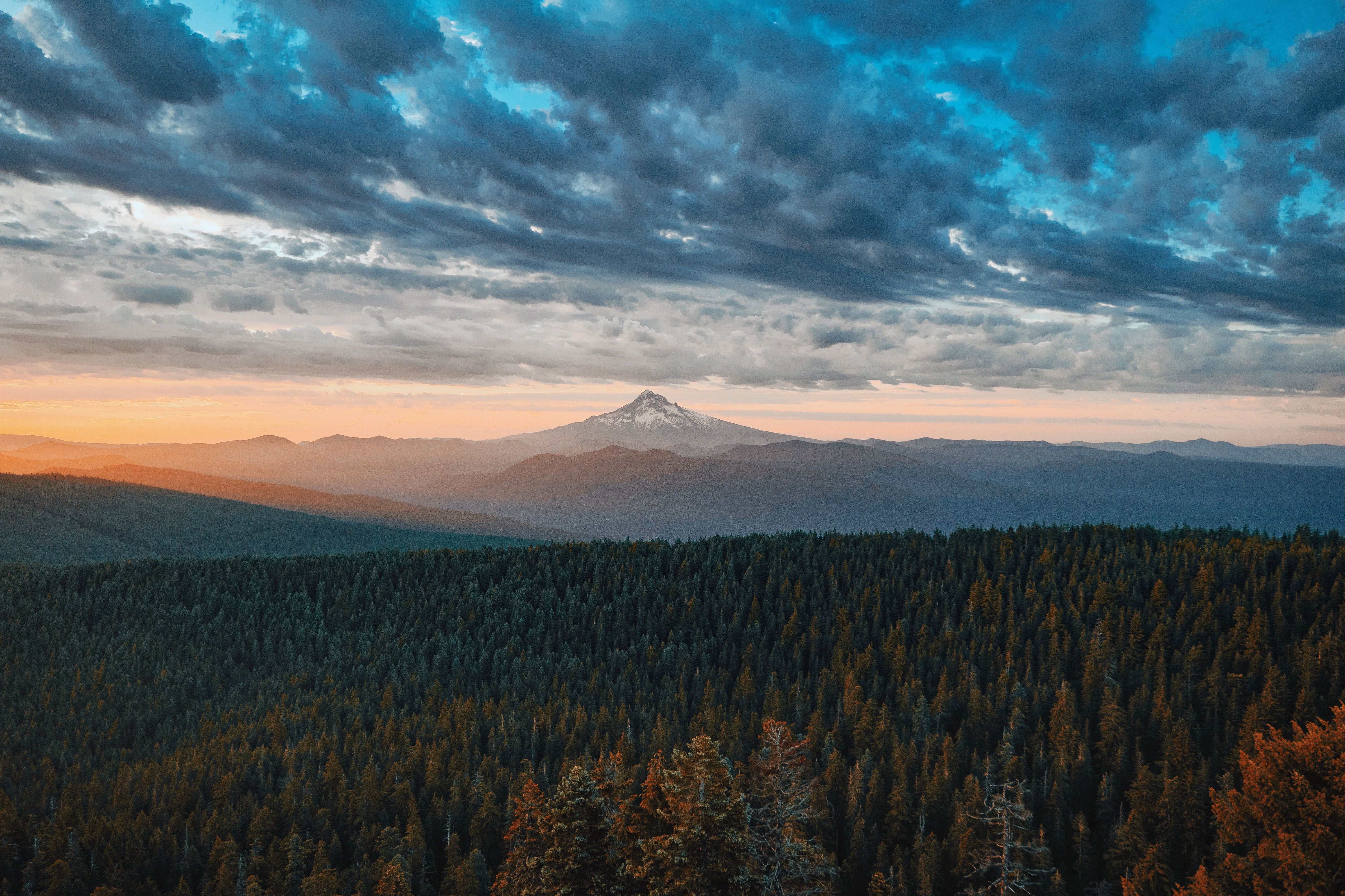 Best POS for Oregon Coffee Shops